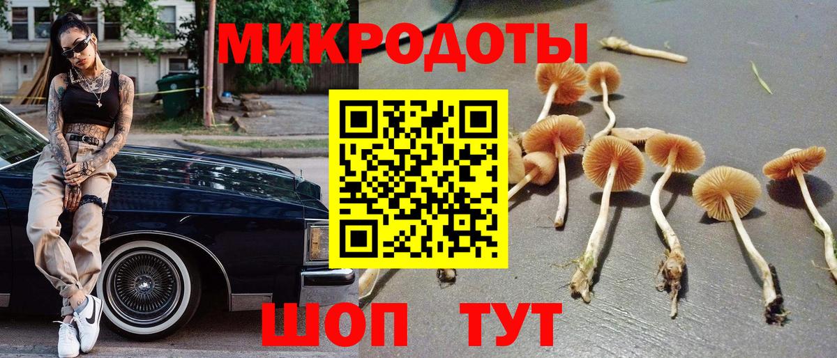 Псилоцибиновые грибы мухоморы  наркотики  Чита  Вход с VPN 