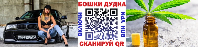 сколько стоит  Чита  Каннабис сатива 